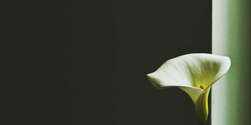 运城印刷供应链优化指南：从设计到交付，如何高效管理名片与宣传单订单