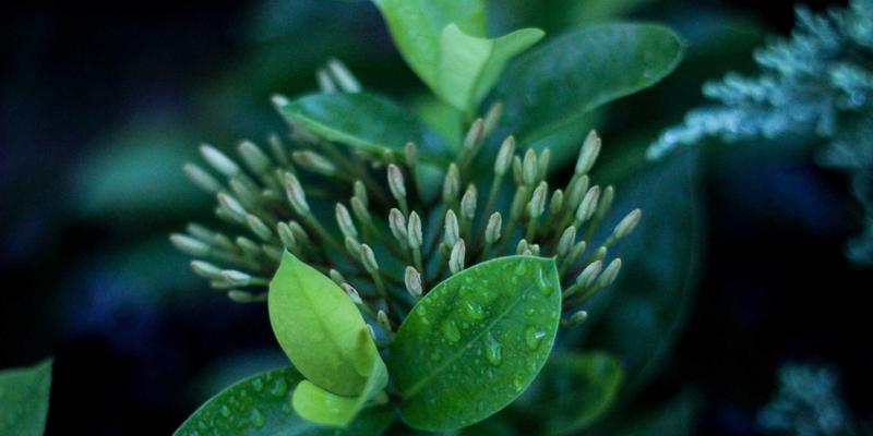 运城印刷品质感升级指南：揭秘纸张克重、纹理与涂布如何定义名片与画册的视觉灵魂