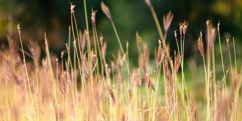 运城文创印刷新思路：如何将关公故里、盐池风情融入笔记本与明信片，打造有灵魂的印刷品