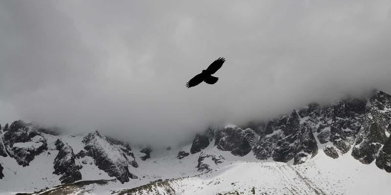运城食品包装印刷安全标准全解析：从彩虹印技术到名片印刷的合规实践